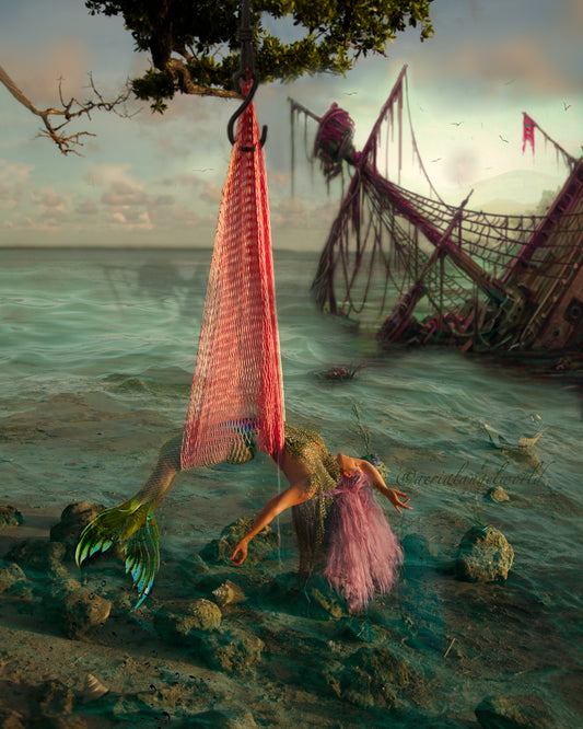 Aerial Net - Ombré Performance Hammock.