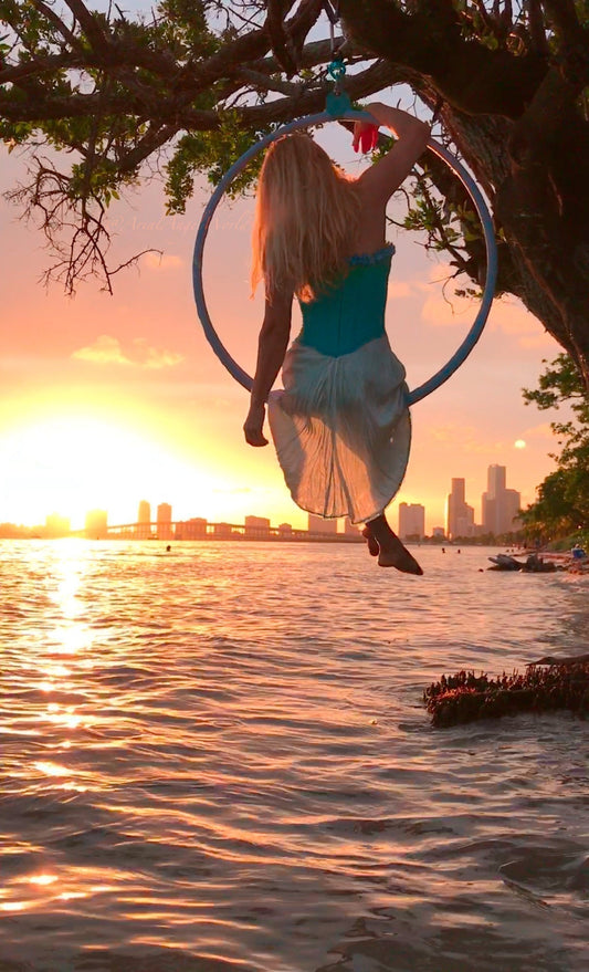 Transform Your Home into an Aerial Fitness Sanctuary: A Beginner’s Guide to Aerial Dance Equipment