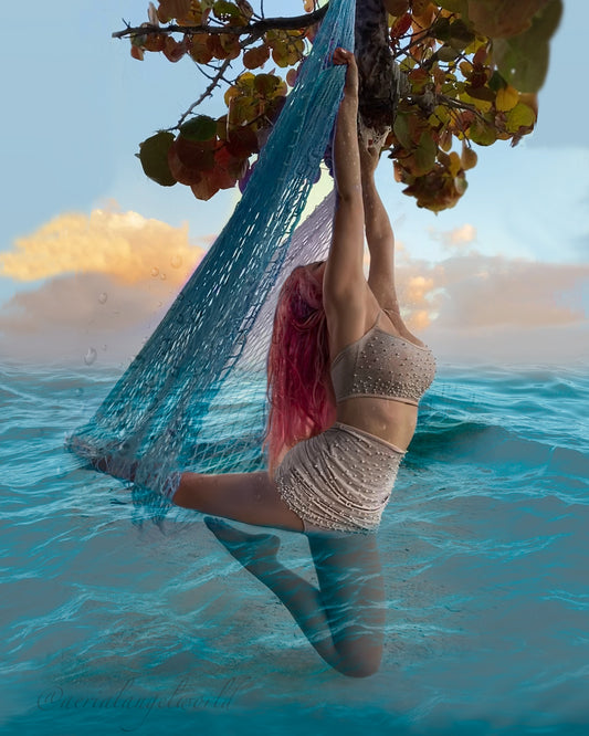 Aerial Net - Ombré Performance Hammock.